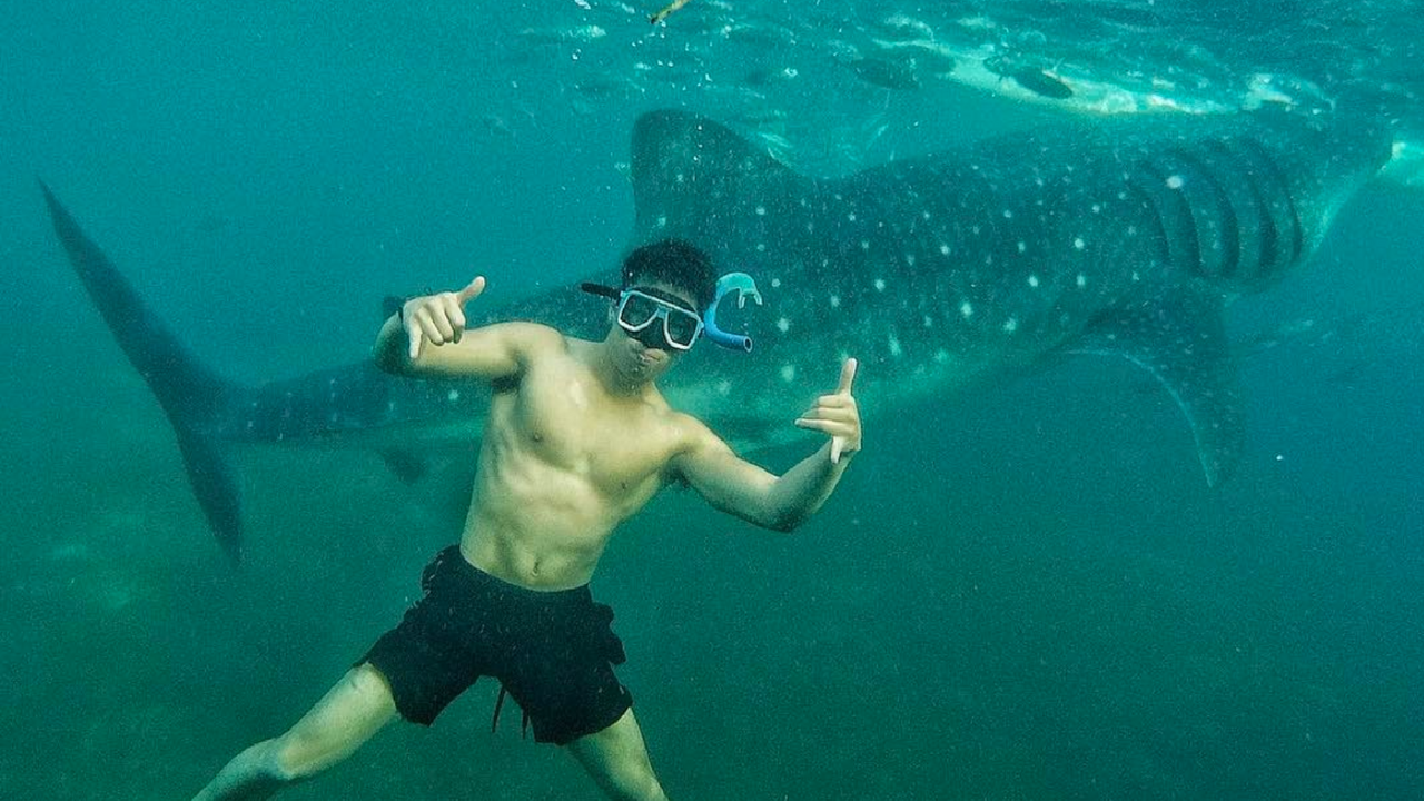Mike Vestil Swimming With Whale Sharks In Oslob