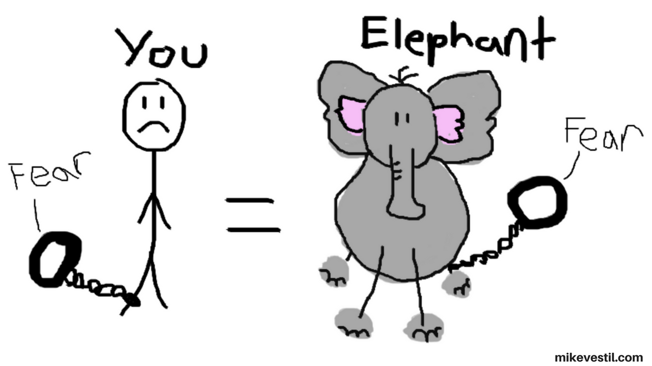 Overcoming fear of failure compared to an elephant