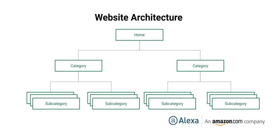 Define Your Site Architecture