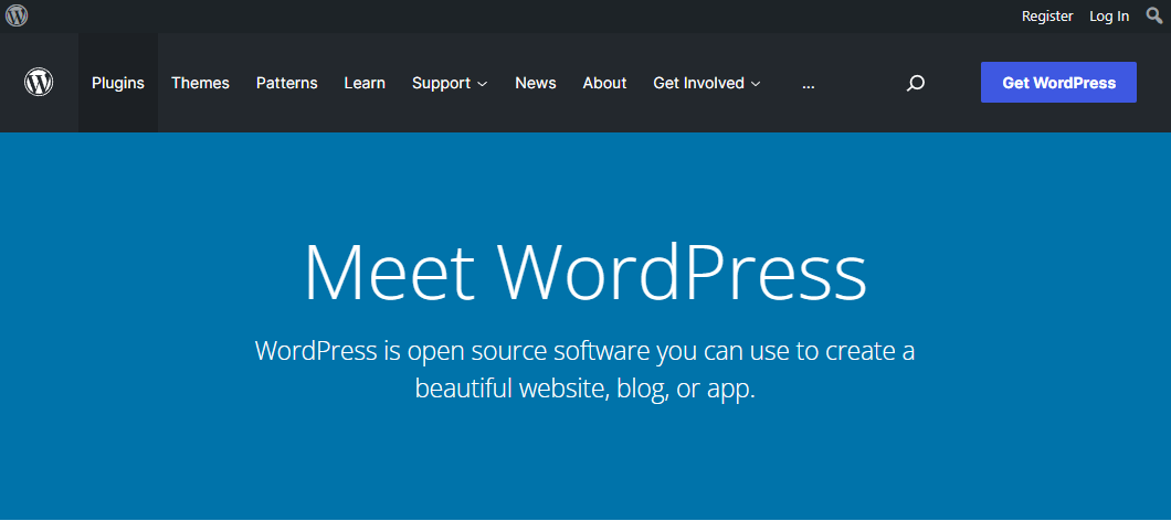 Wordpress homepage