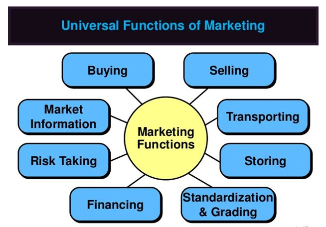 What Exactly Is Functional Marketing?