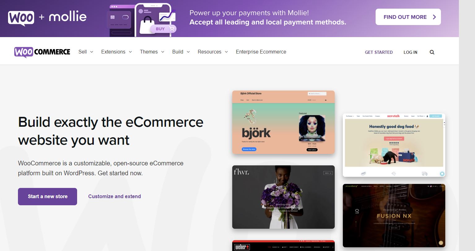 WooCommerce