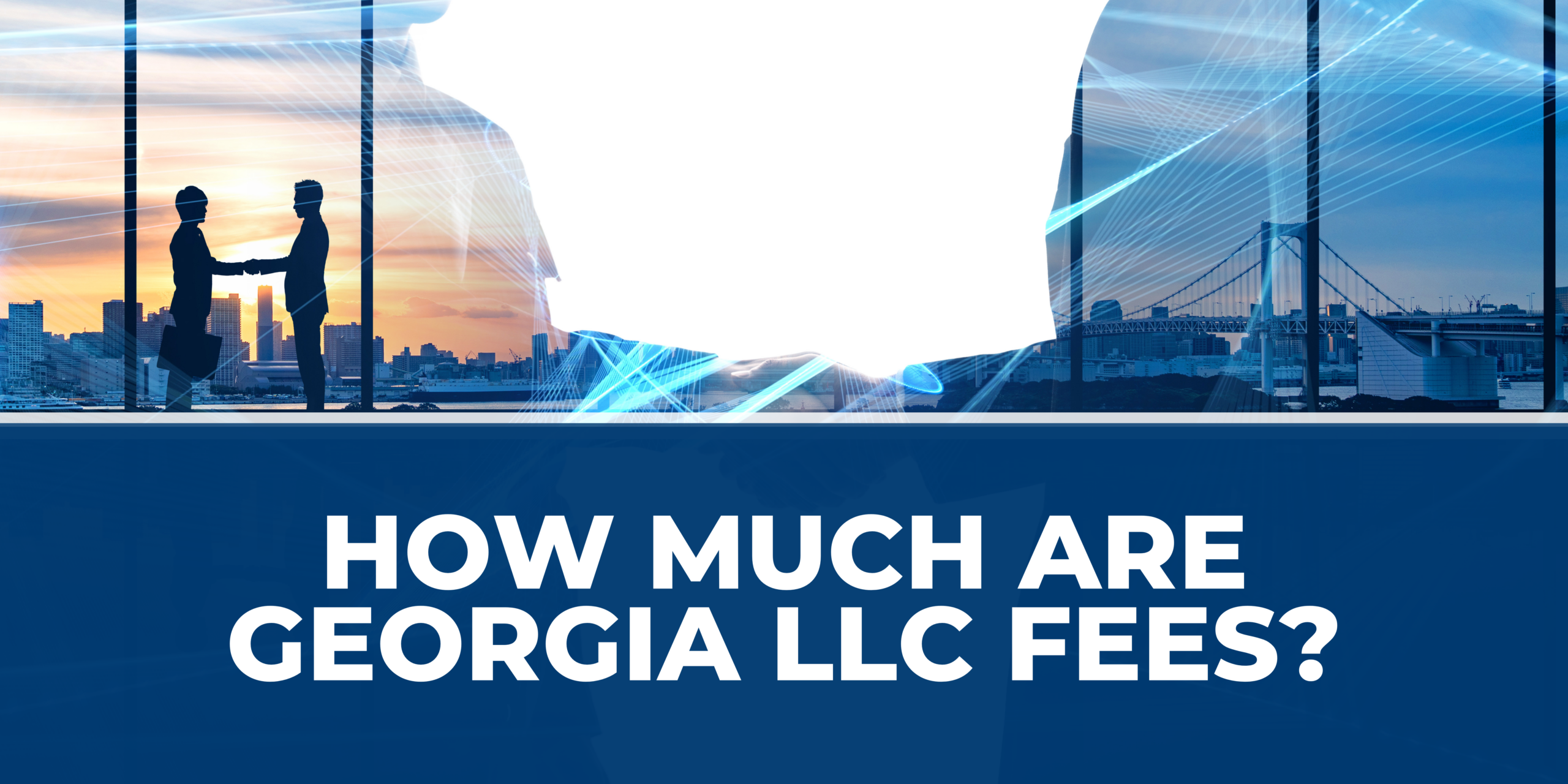 How Much Are Georgia LLC Fees?