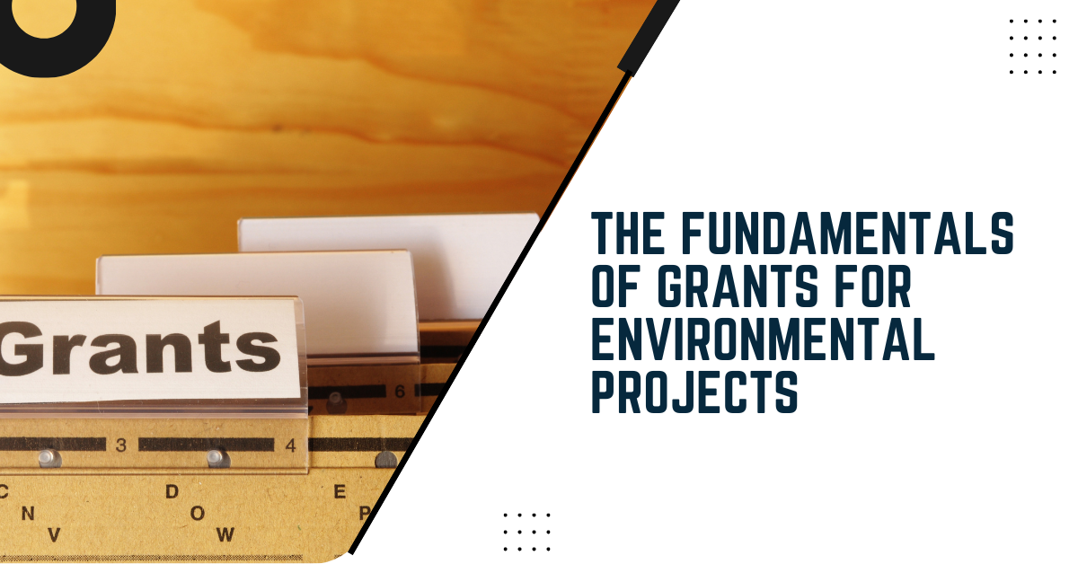 The Fundamentals Of Grants For Environmental Projects