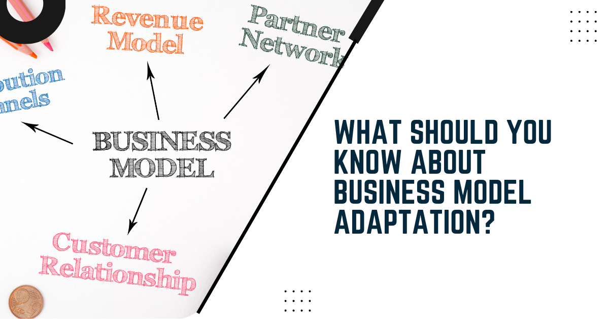 What Should You Know About Business Model Adaptation?